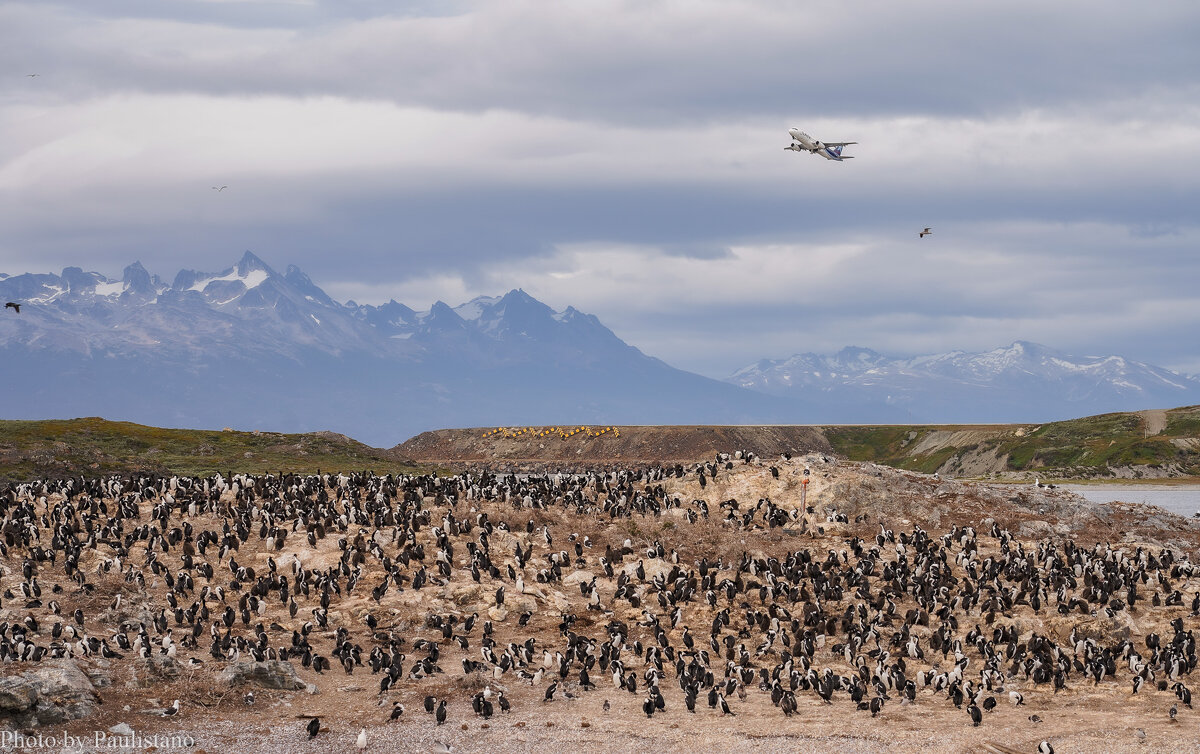 На дальних берегах... - Владимир Жданов На дальних берегах... - Владимир Жданов