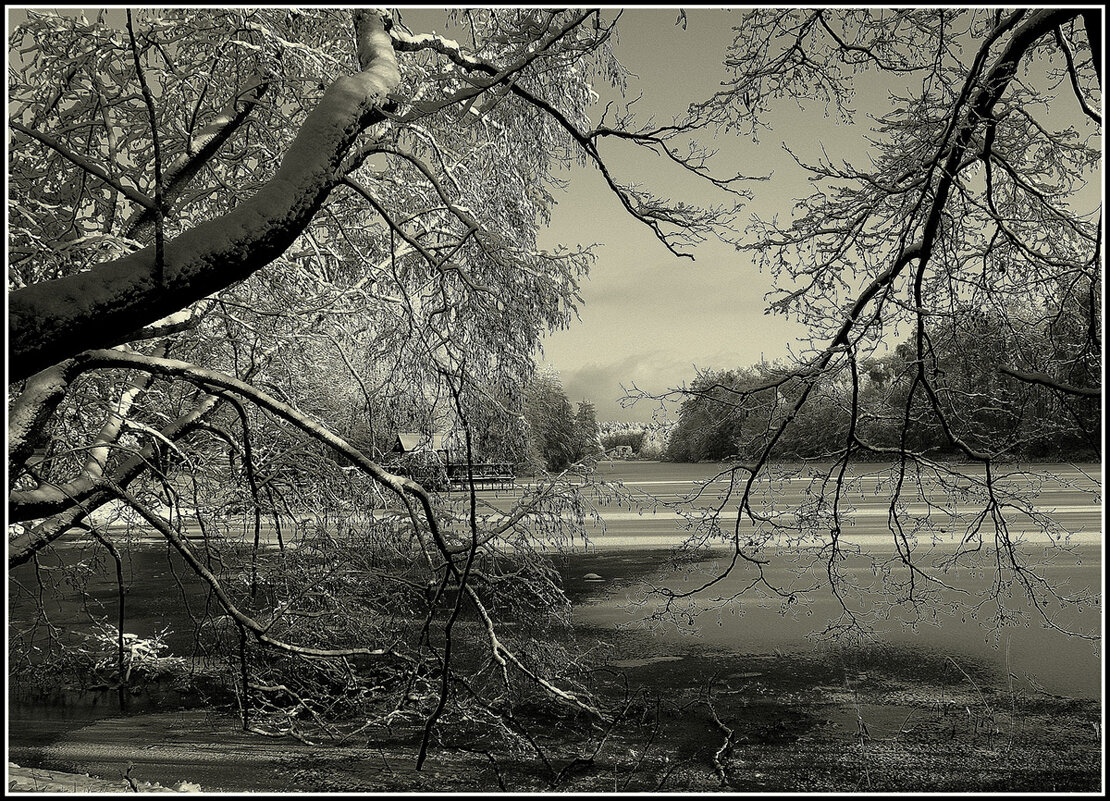 первый морозец - Aleksandr Gal первый морозец - Aleksandr Gal