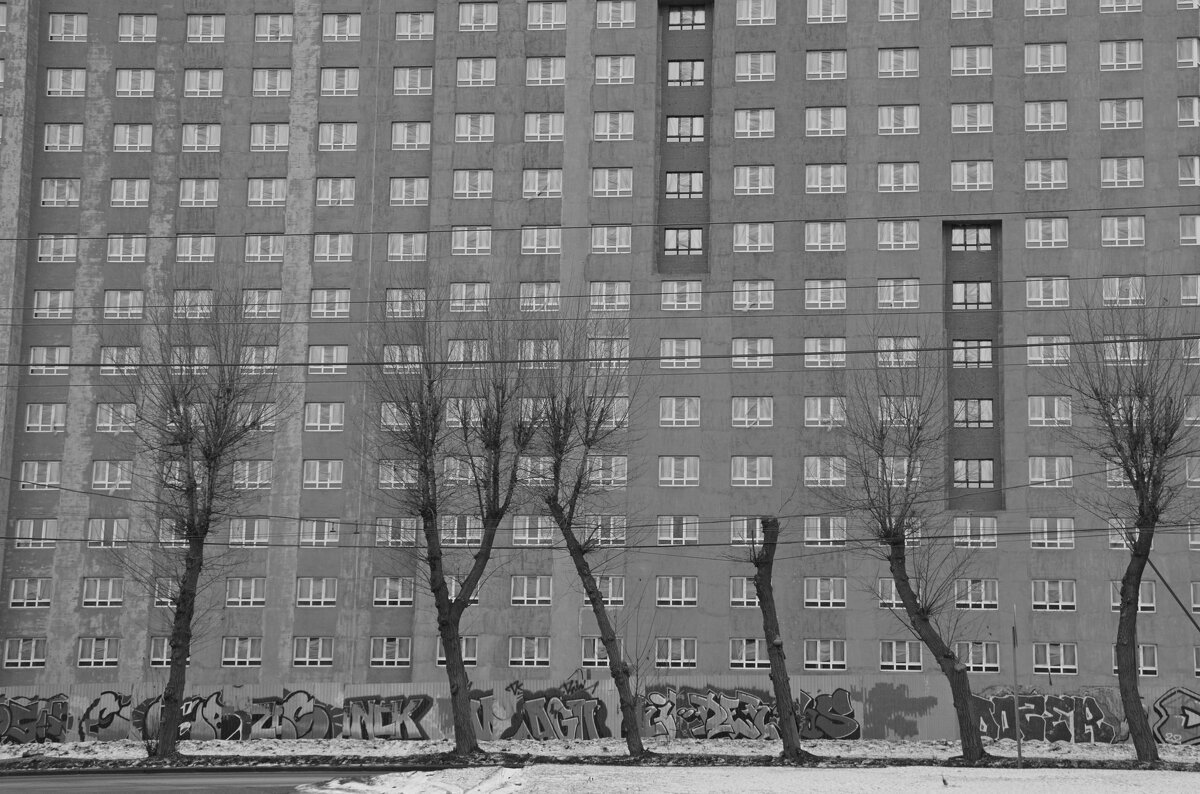 Природный минимализм - Сергей Сергеев Природный минимализм - Сергей Сергеев