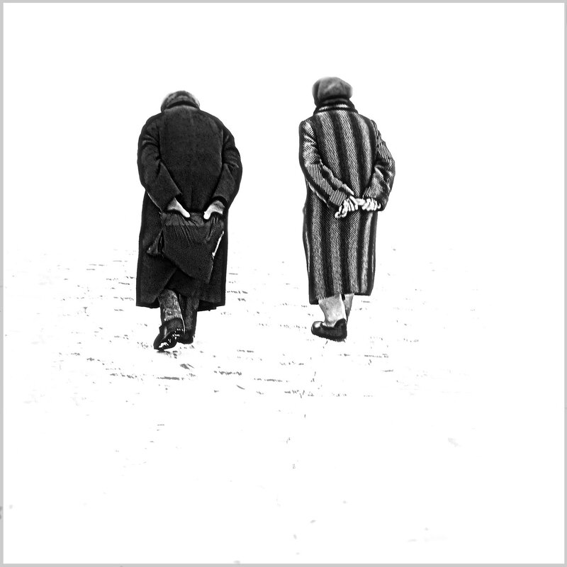 Подруги... - Владимир Шошин Подруги... - Владимир Шошин