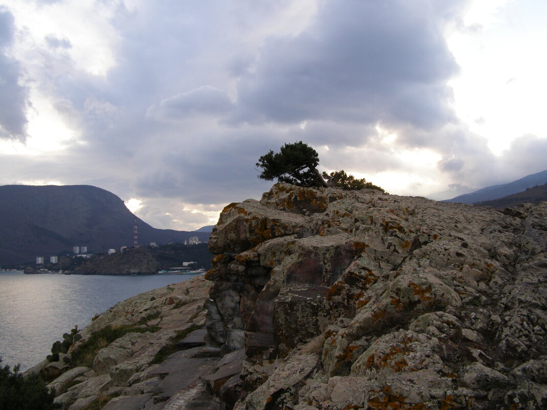 Перед штормом - Анна Воробьева Перед штормом - Анна Воробьева
