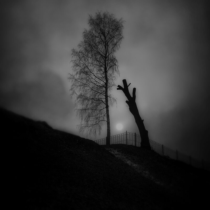 "Подранок".... - Владимир Шошин "Подранок".... - Владимир Шошин