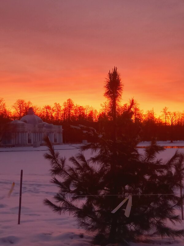 Рассвет - Сапсан 