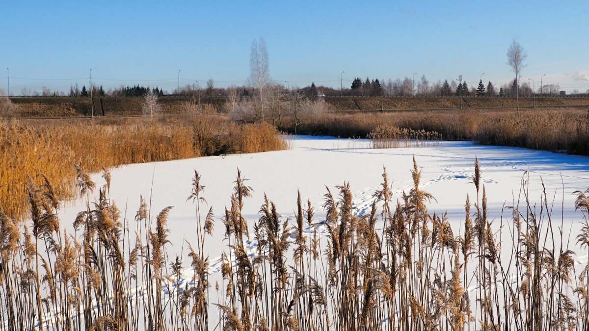 Озерцо у дороги. - Милешкин Владимир Алексеевич 