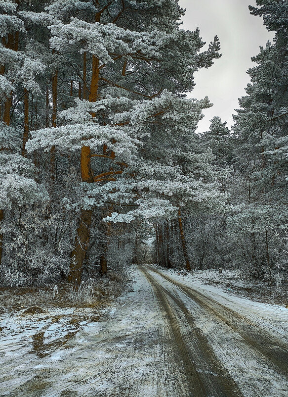 *** - Николай Феофанов