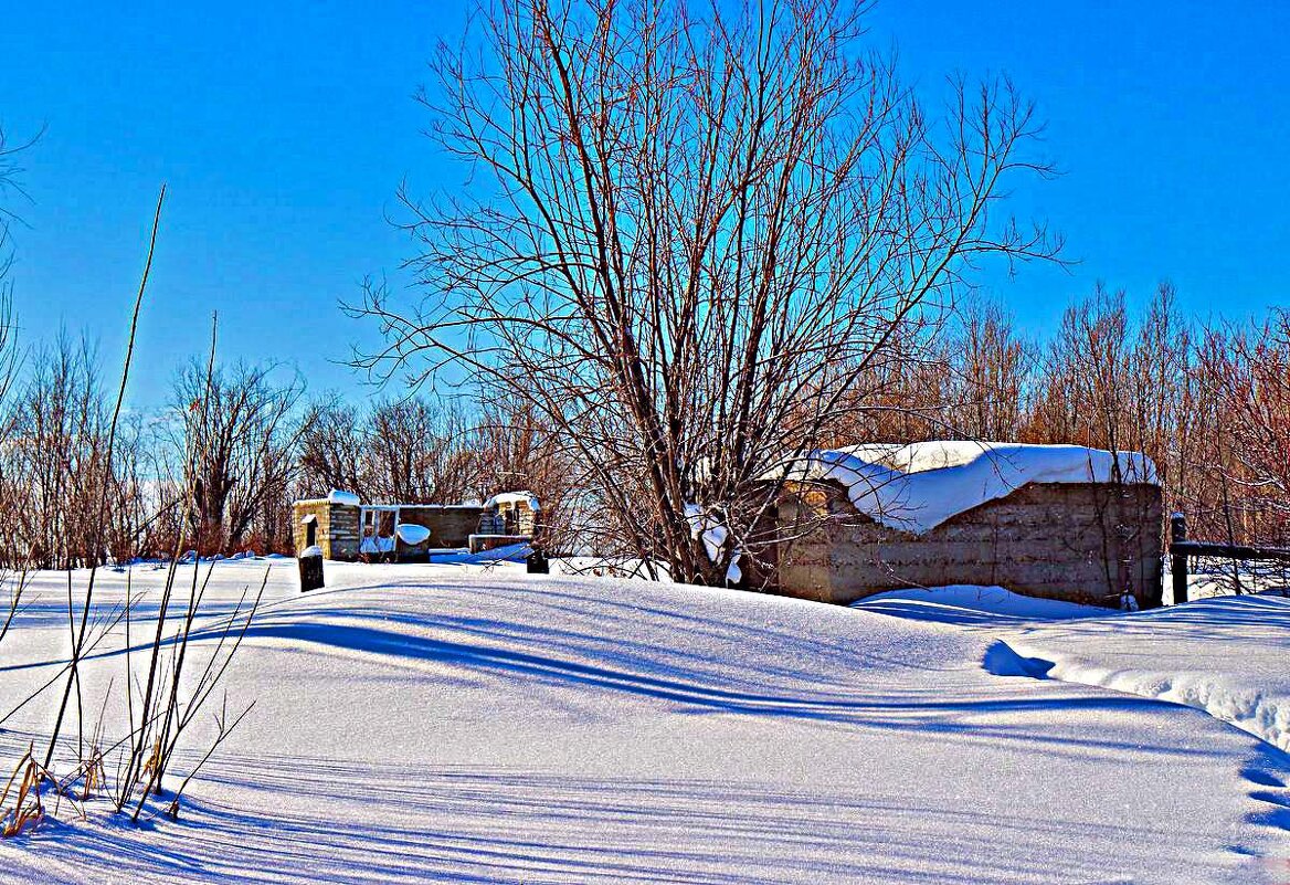 Весна света на левобережье Юганской Оби! - Владимир 