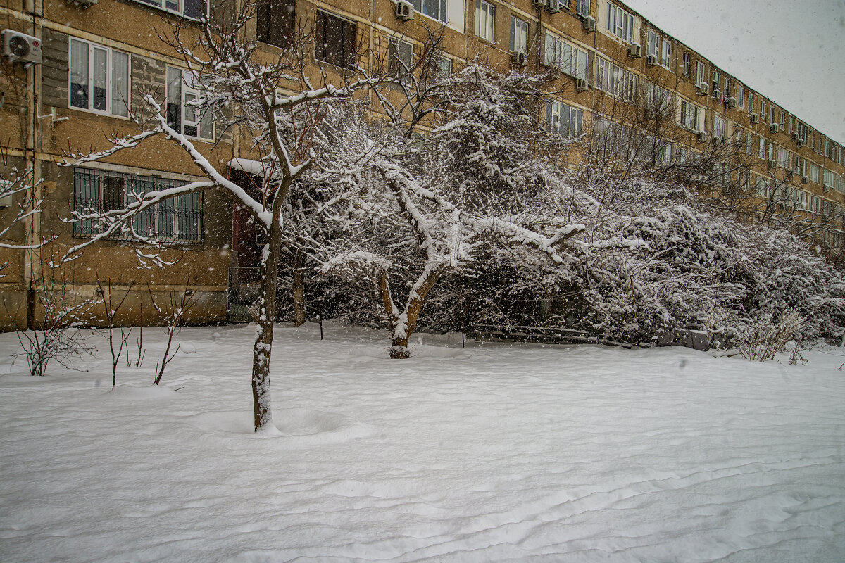Зима - Анатолий Чикчирный