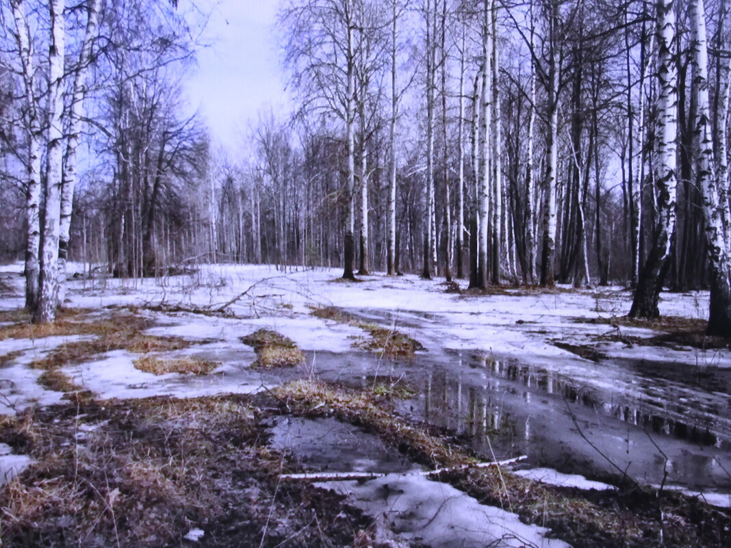 А снег тает - Людмила Смородинская А снег тает - Людмила Смородинская