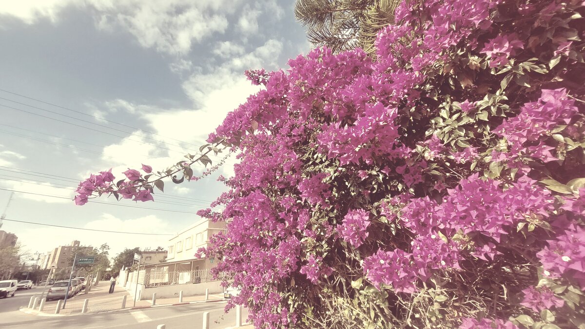 12 КЛОС (665) - CLOSE WAYS ALL 12 КЛОС (665) - CLOSE WAYS ALL