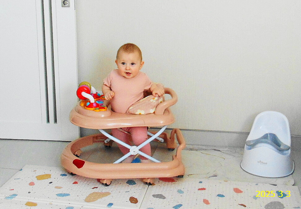 Яна, ходунки,горшок .. - Александр Владимирович Никитенко