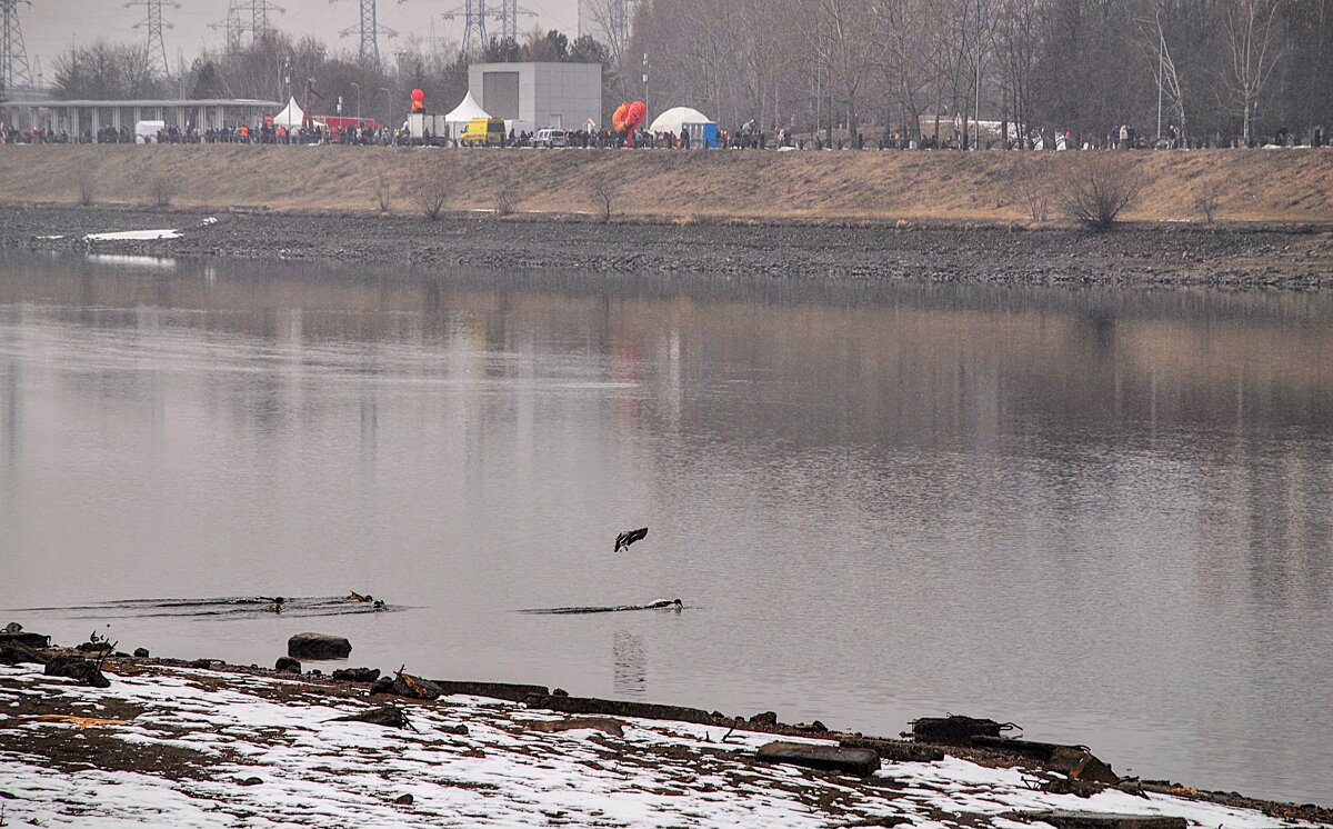 А на том берегу ещё Масленицу провожают,,,) - Анатолий Колосов