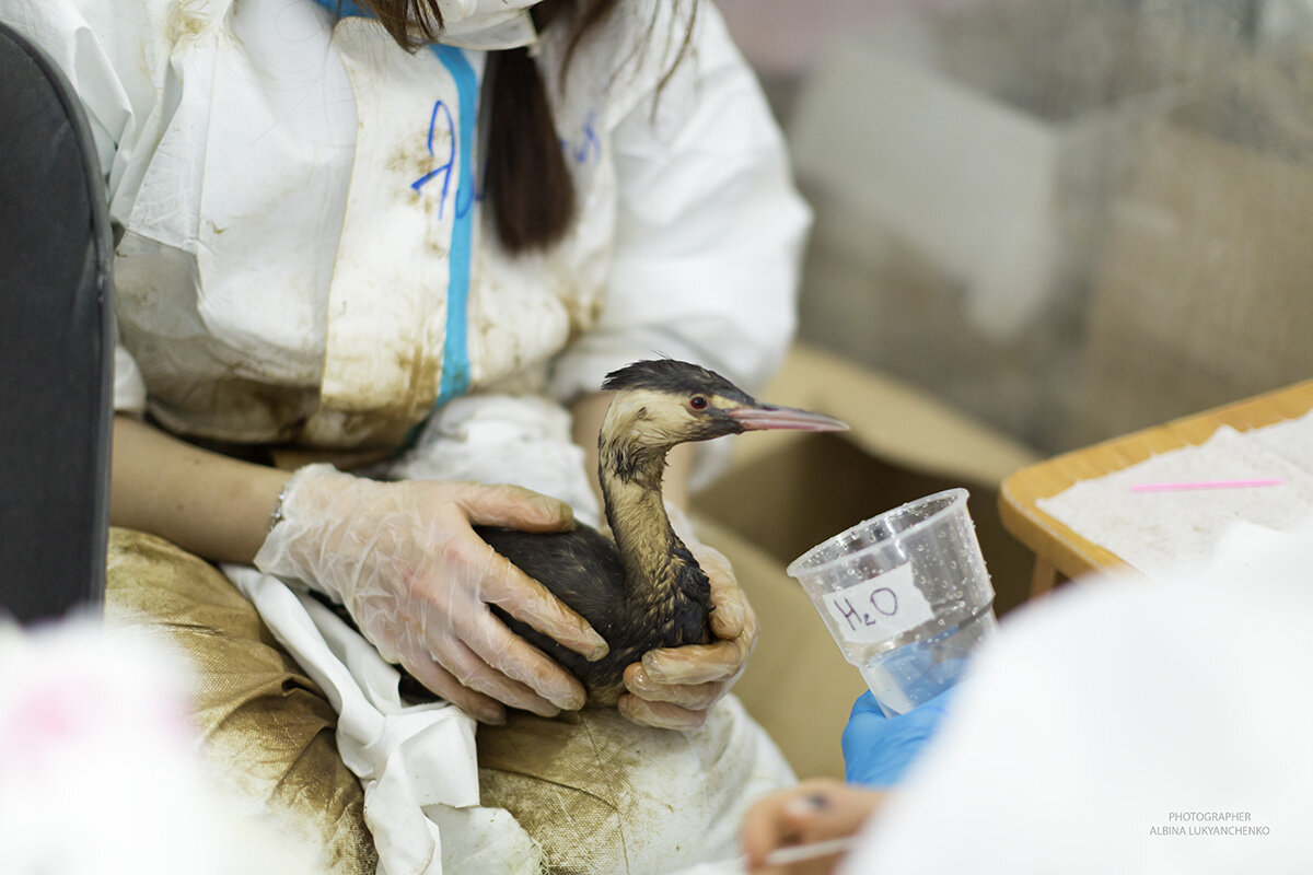 вода - Albina Lukyanchenko