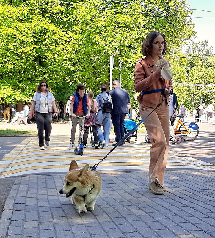 *** - Владимир Захаров