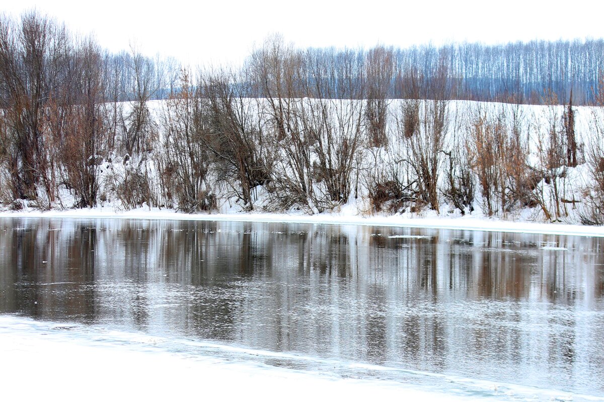 Дон - Андрей Л. В. Дон - Андрей Л. В.
