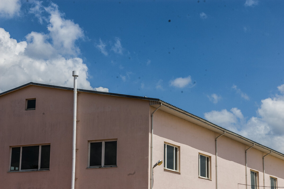 Прелестный розовый склад снятый с закрытой диафрагмой на заляпанную матрицу - Коля Лукашов