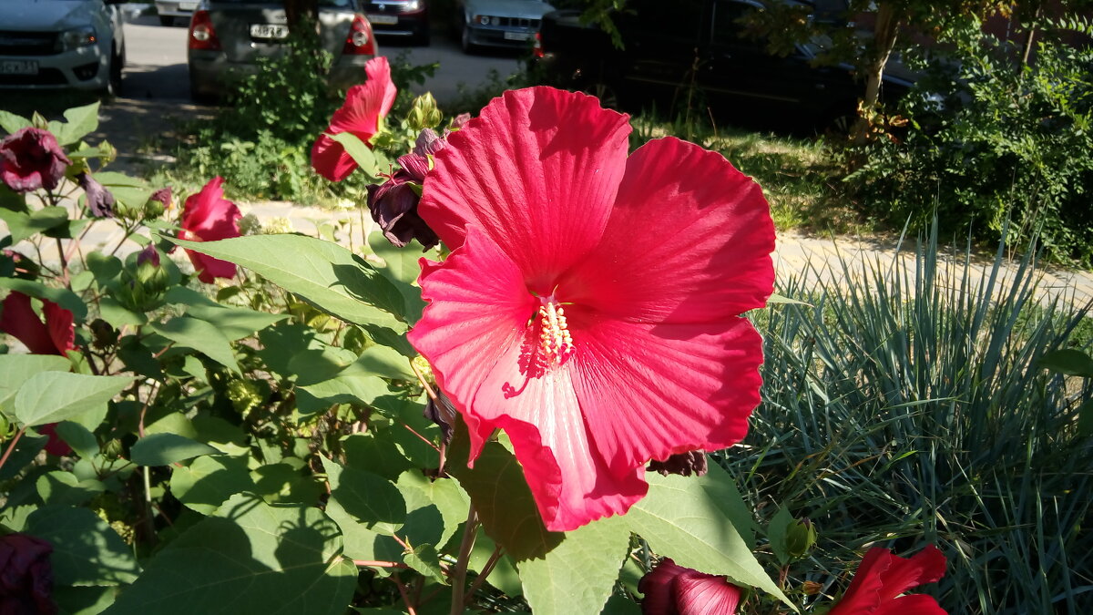 ,,, - Сергей Тимоновский