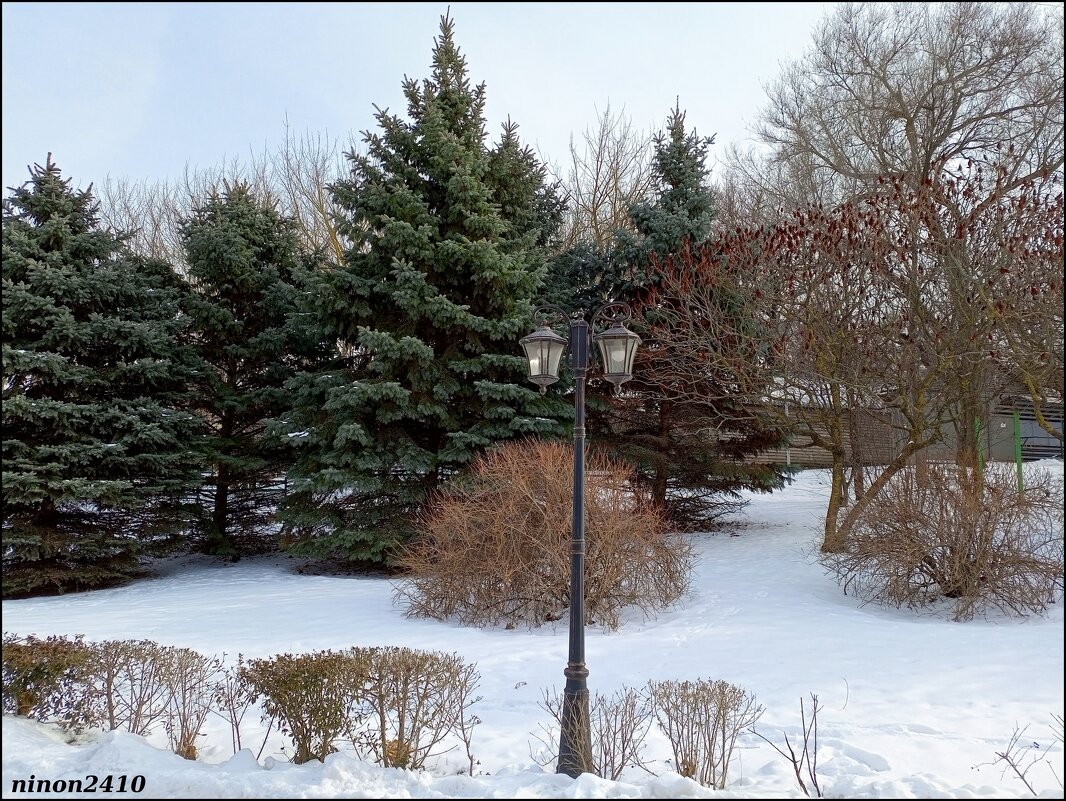 В ростовском зоопарке - Нина Бутко В ростовском зоопарке - Нина Бутко