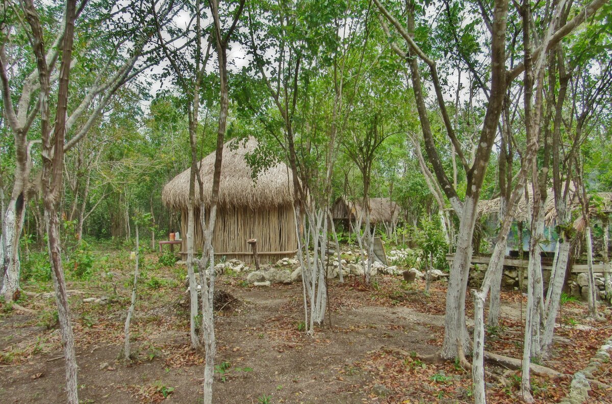 В мексиканской глубинке - Андрей K.