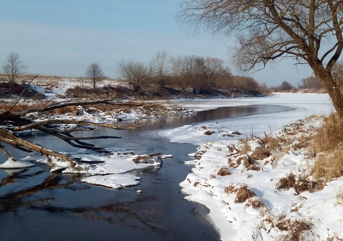 Весенние мотивы - Galina Solovova