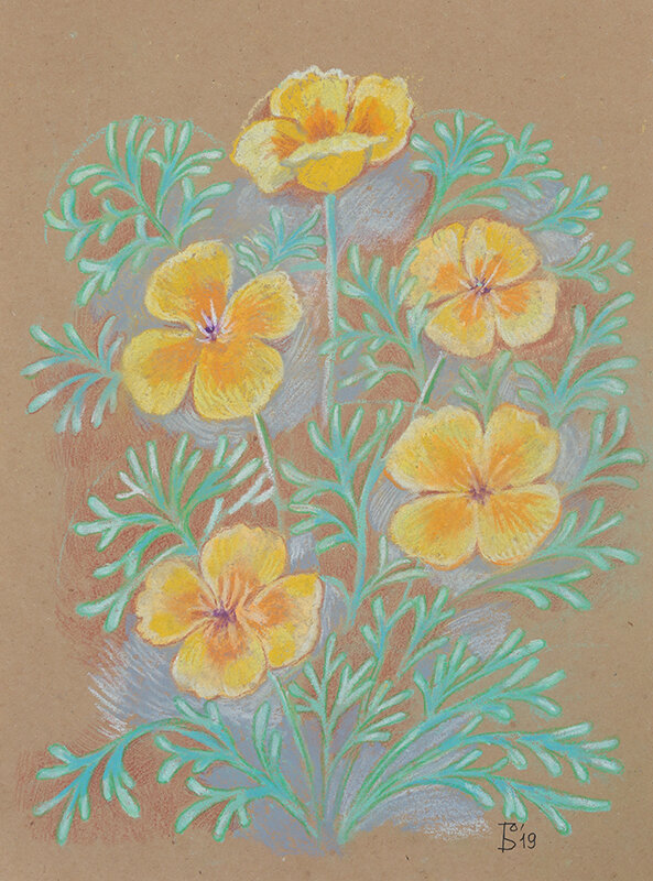 Желтые цветы - Ольга Бекетова