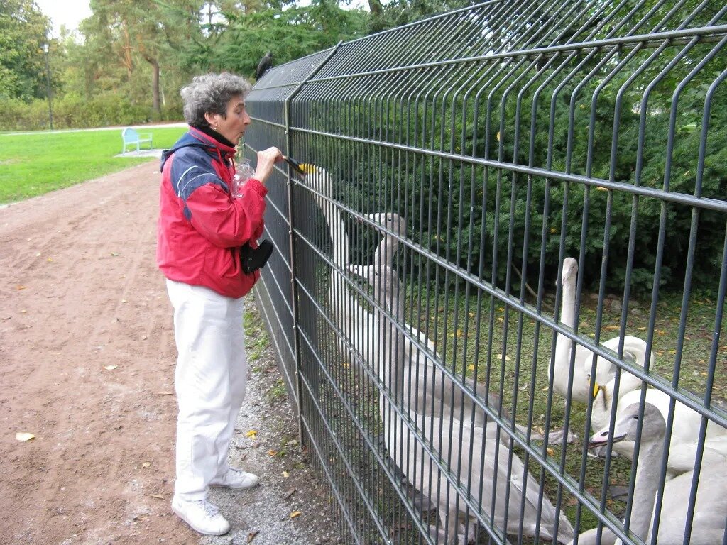 Покормила - Надежда 