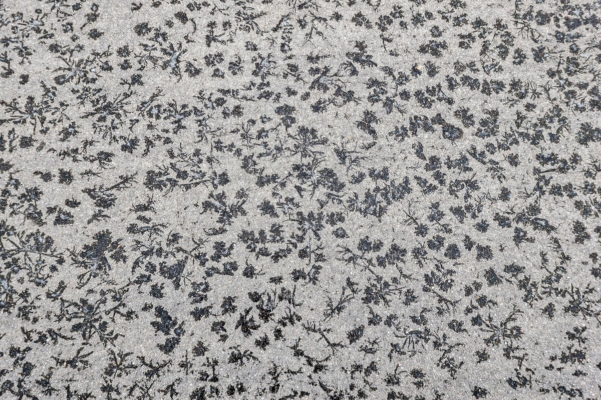 Мартовский асфальт - Валерий Иванович