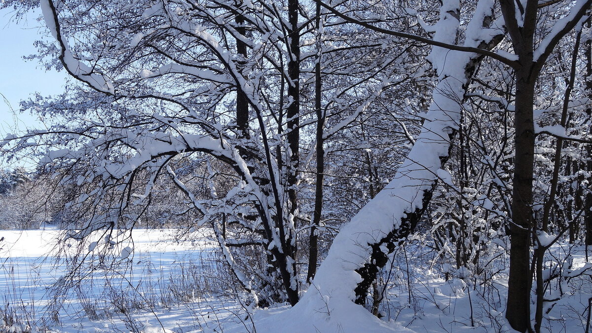 В окрестностях Калининграда - Рита Симонова В окрестностях Калининграда - Рита Симонова