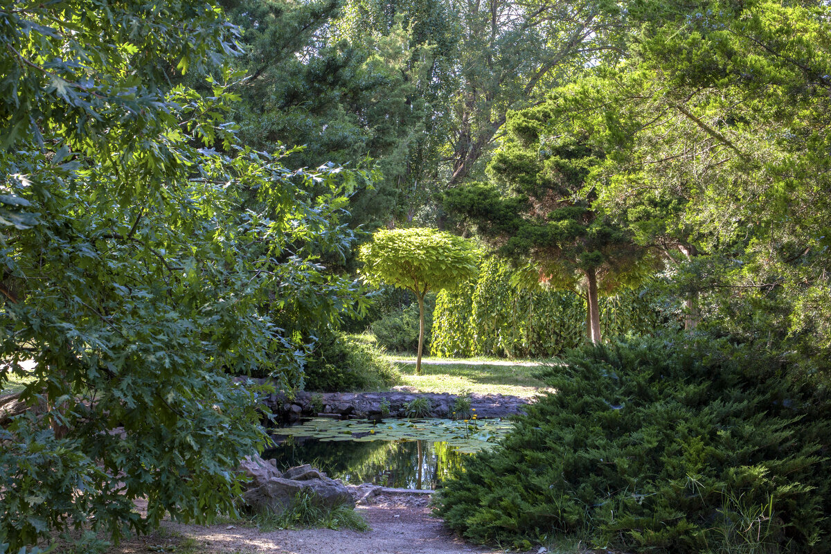 Пейзажи ботанического сада - Валентин Семчишин Пейзажи ботанического сада - Валентин Семчишин