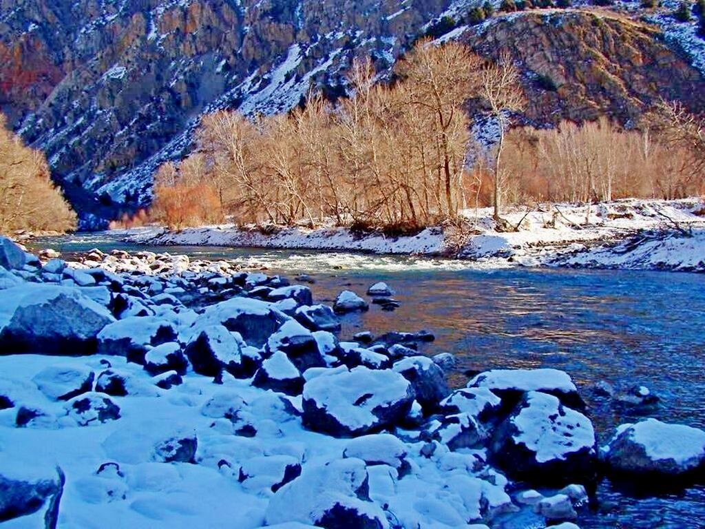 ЗИМНЯЯ ПРОГУЛКА. - Виктор Осипчук ЗИМНЯЯ ПРОГУЛКА. - Виктор Осипчук