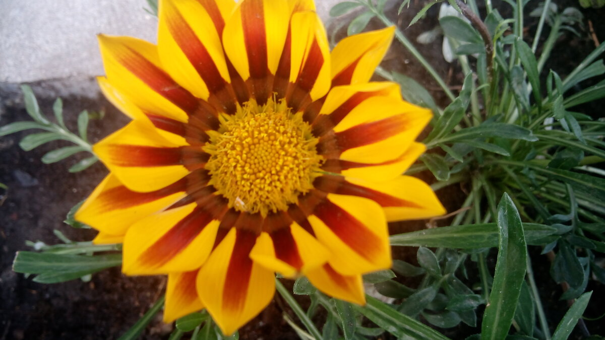 ,,, - Сергей Тимоновский ,,, - Сергей Тимоновский