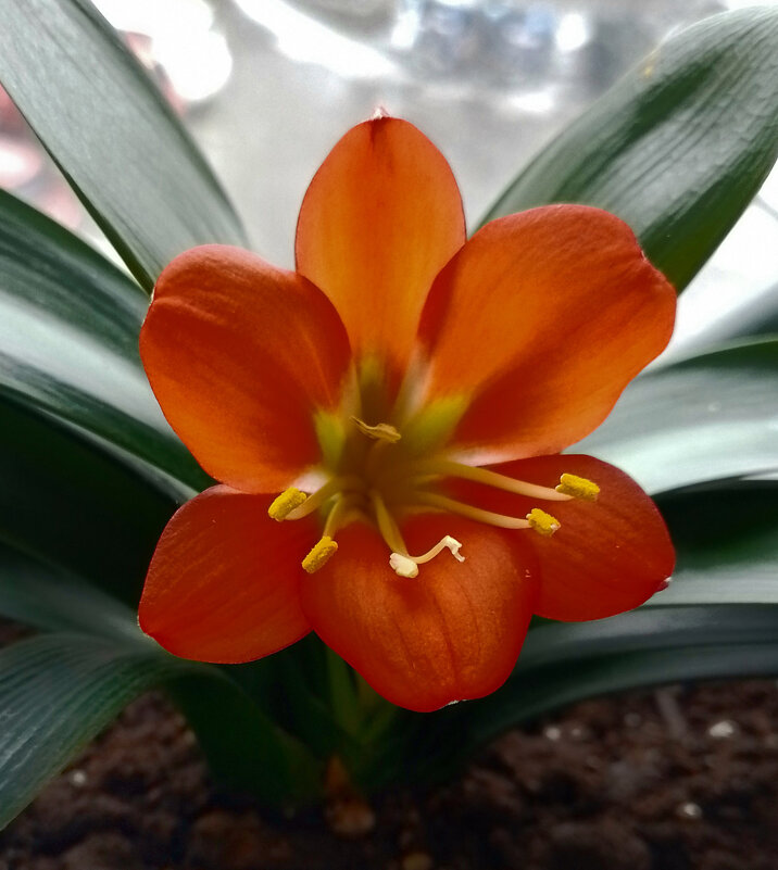 *** - Валентина Береснева