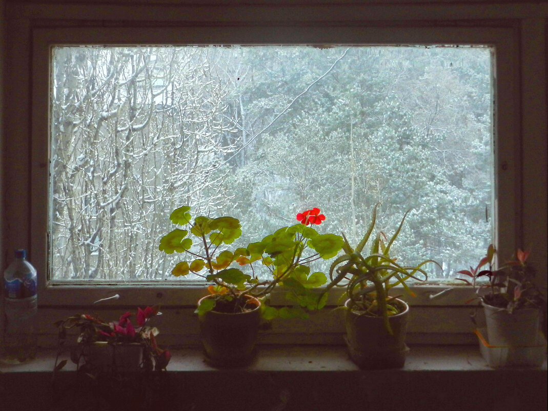 окно в подъезде - Лера окно в подъезде - Лера