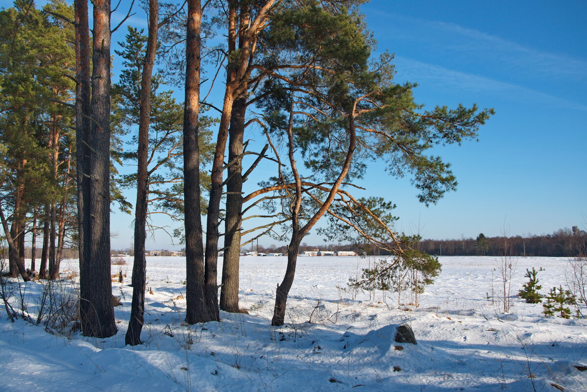 Ясный денек - lady v.ekaterina Ясный денек - lady v.ekaterina