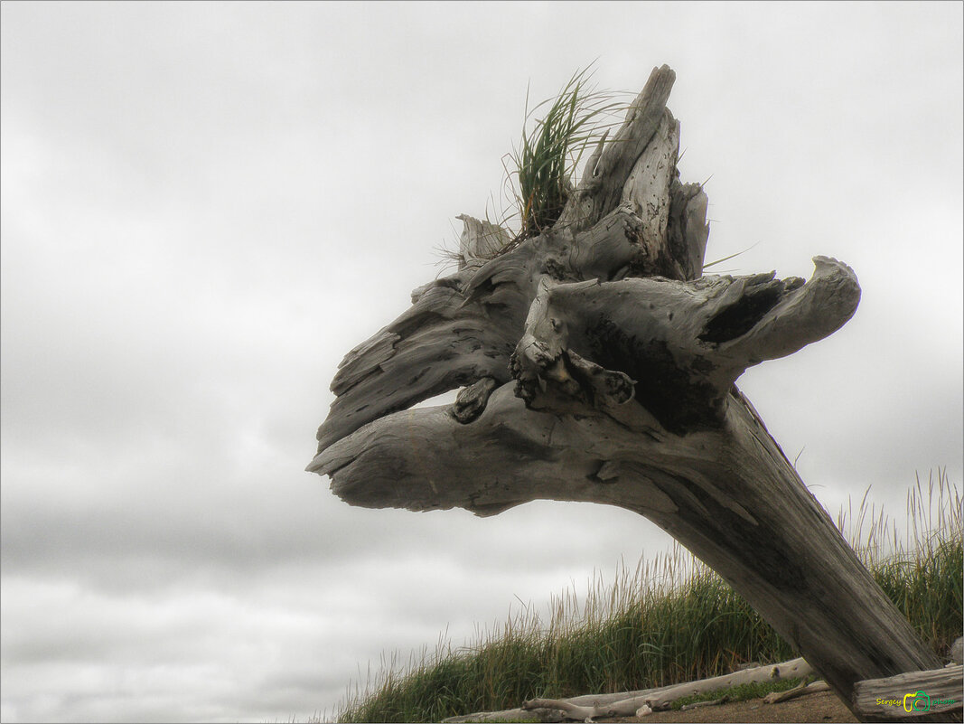 КОЗЕЛ курящий папиросу. - Сергей Калиновский КОЗЕЛ курящий папиросу. - Сергей Калиновский