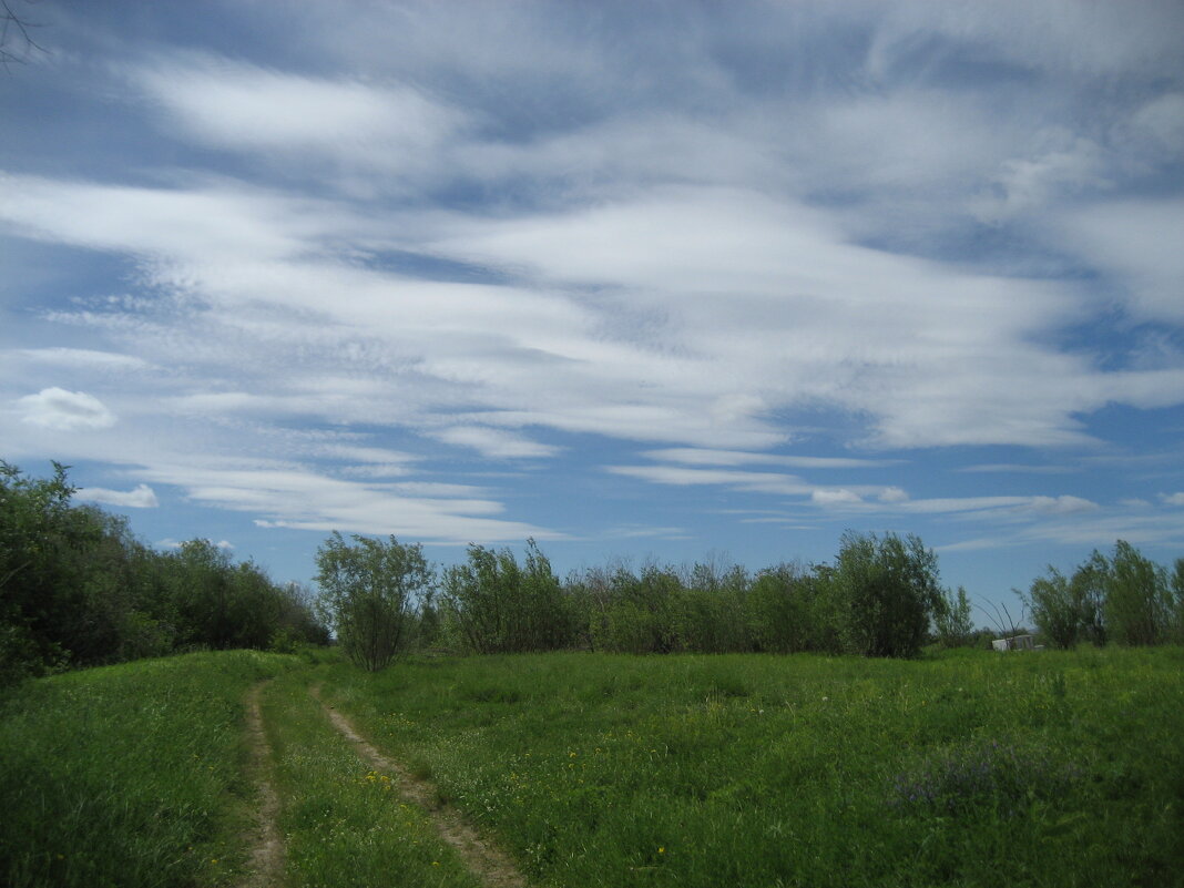 Лето - Anna Ivanova