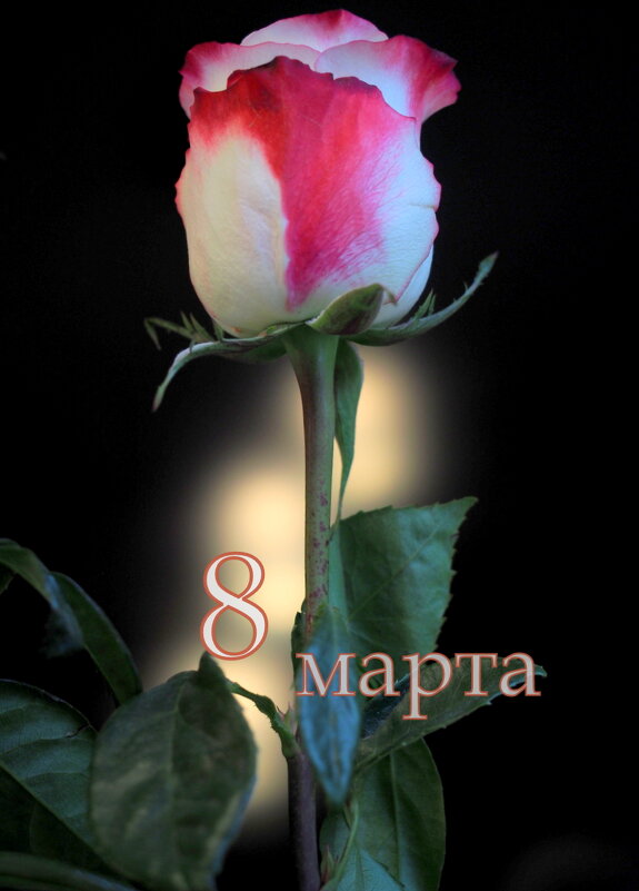 С НАСТУПАЮЩИМ, МИЛЫЕ ДАМЫ! - Юрий Велицкий