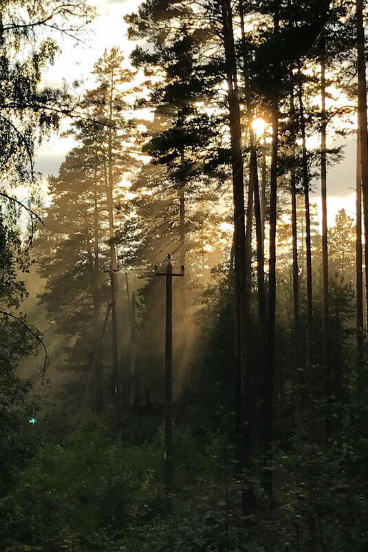 Вечернее - Ирина Картина