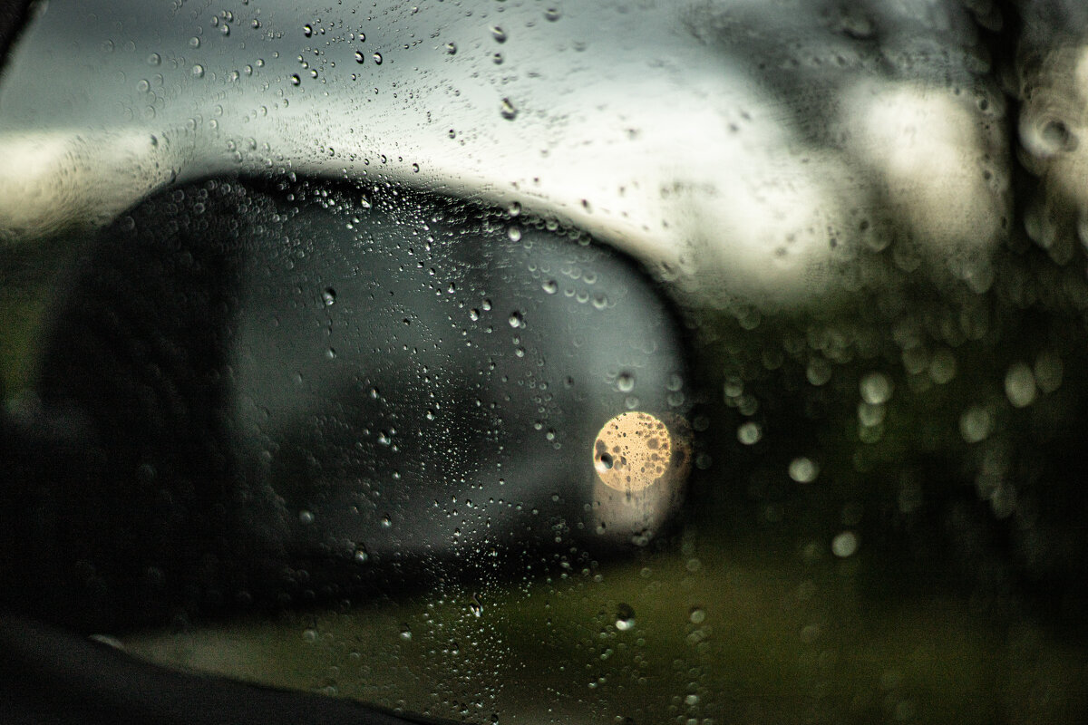 Скорей бы летний дождик смыл всю эту пыль - Анастасия Фотографовна Скорей бы летний дождик смыл всю эту пыль - Анастасия Фотографовна