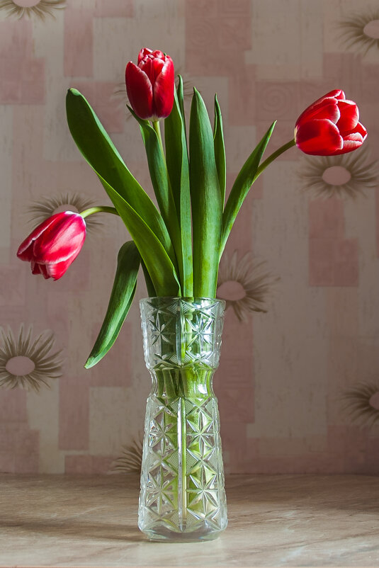 ... - Елена Пономарева