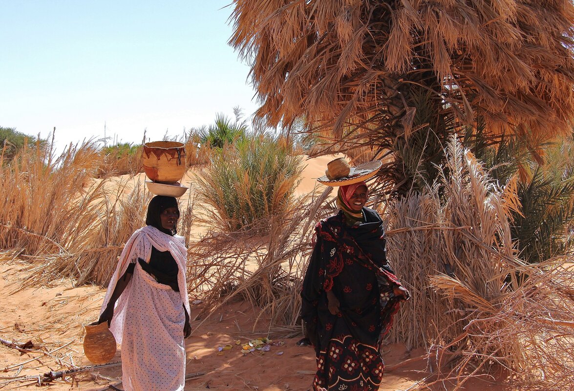 Африканские девушки из Сахары. - unix (Илья Утропов) Африканские девушки из Сахары. - unix (Илья Утропов)