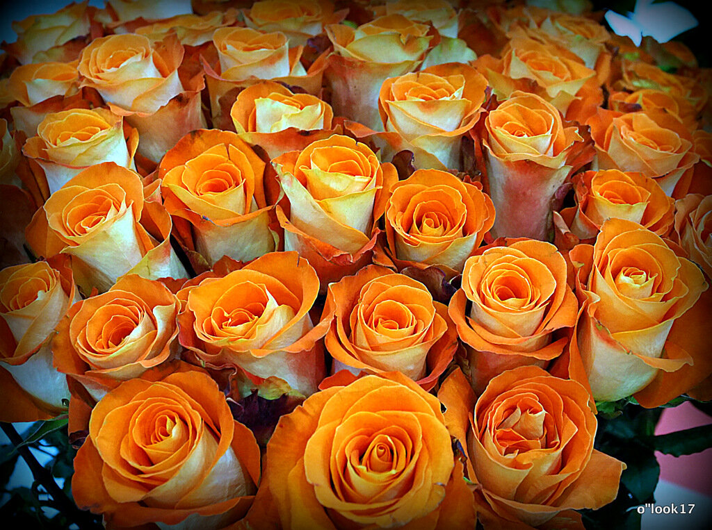 цветы и о,женщины - Олег Лукьянов