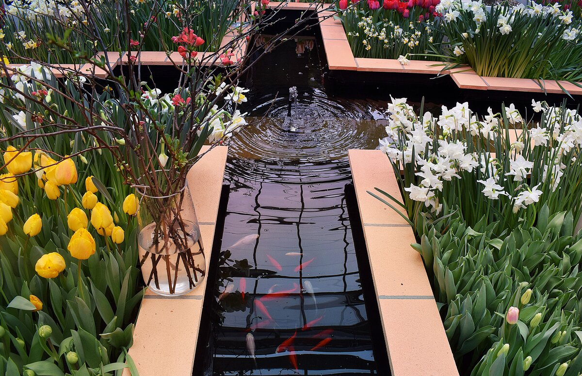 Водоём с фонтанами и рыбками. - Татьяна Помогалова Водоём с фонтанами и рыбками. - Татьяна Помогалова