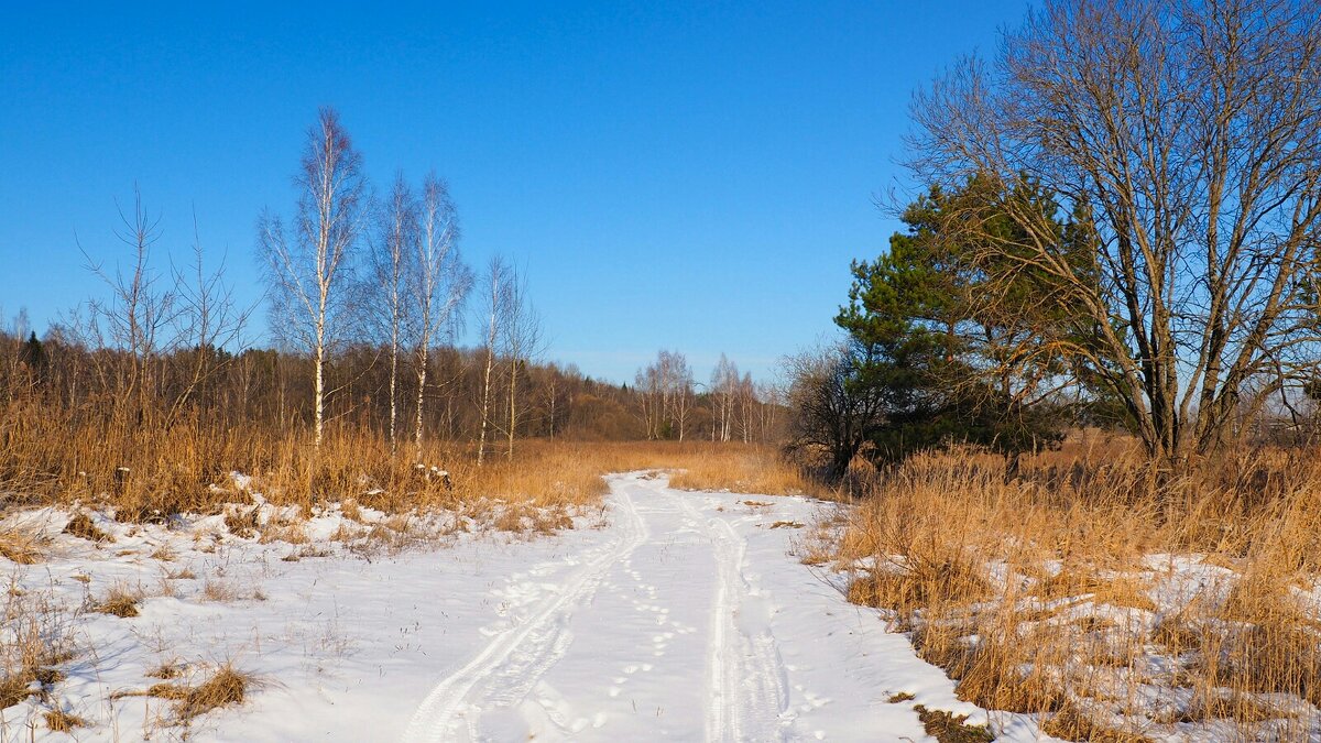 Дорога рыбаков и охотников. - Милешкин Владимир Алексеевич Дорога рыбаков и охотников. - Милешкин Владимир Алексеевич