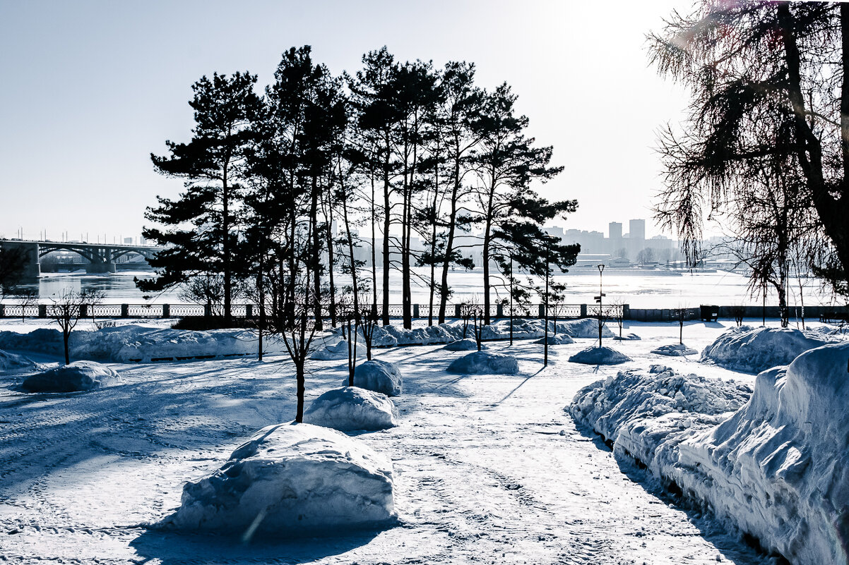 Зима. - Александр Бродский