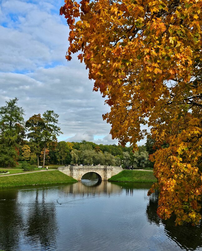 Гатчина. Дворцовый парк. - Юлия Голикова
