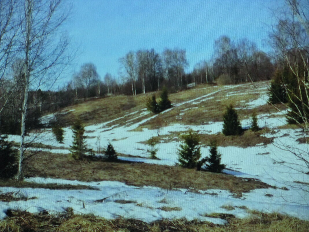 Красота весны - Людмила Смородинская Красота весны - Людмила Смородинская