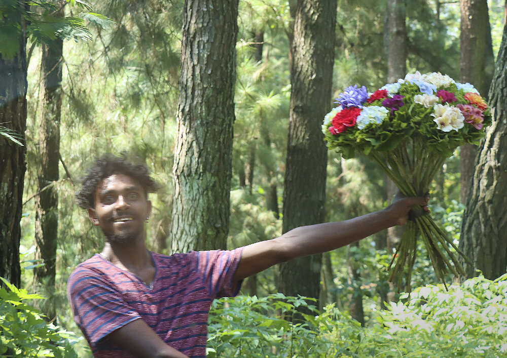 Темпераментные ланкийцы - Галина Ильясова Темпераментные ланкийцы - Галина Ильясова