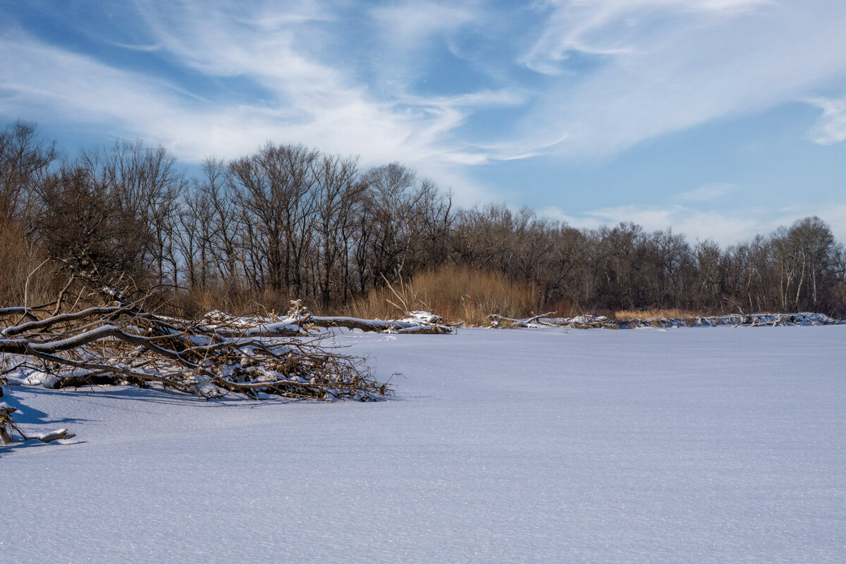 февраль 2021 - Игорь Сикорский февраль 2021 - Игорь Сикорский