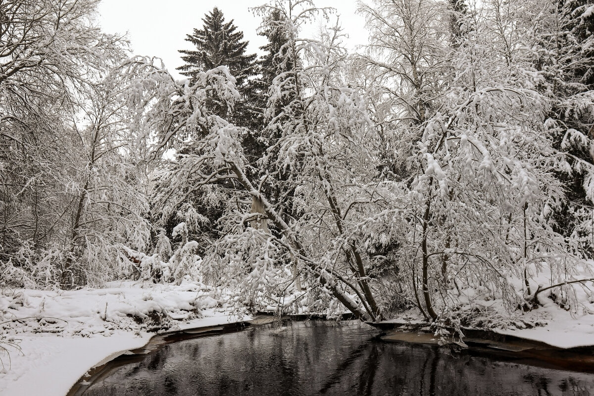 Река Охта - skijumper Иванов Река Охта - skijumper Иванов