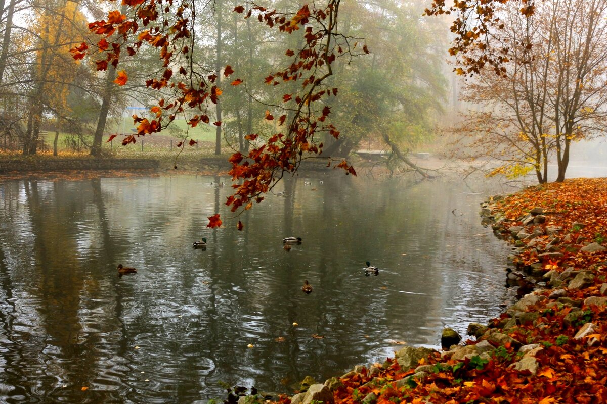 У озера - Юрий. Шмаков У озера - Юрий. Шмаков